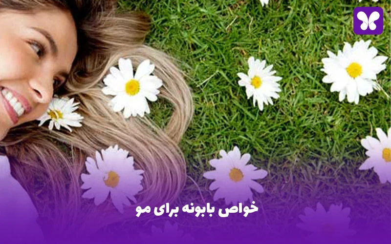 خواص بابونه برای مو