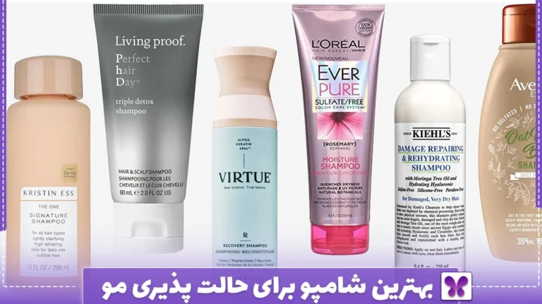 بهترین شامپو برای حالت پذیری مو