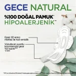 نوار بهداشتي NATURAL GECE كوتكس مخصوص شب بسته 14 عددي - Image 2