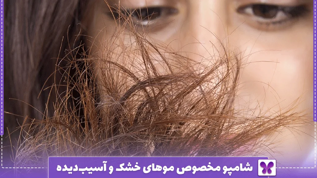 شامپو مخصوص موهای خشک و آسیب‌دیده