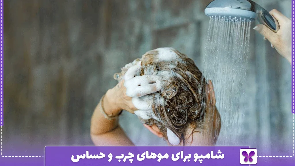 شامپو برای موهای چرب و حساس