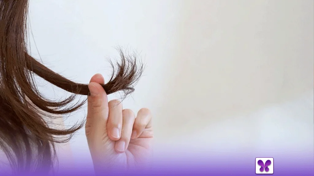 موخوره چرا به وجود می آید؟