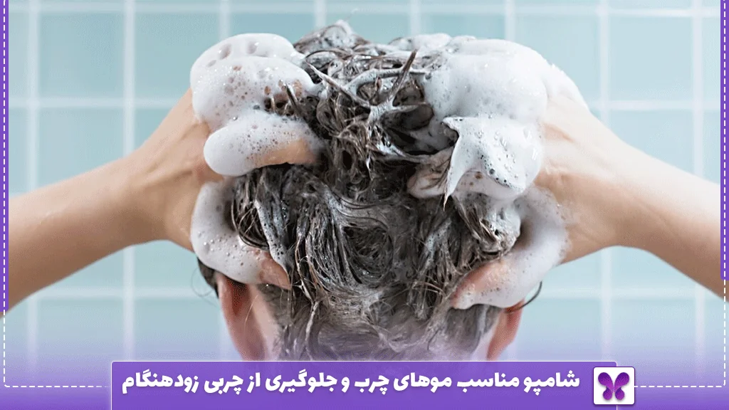 شامپو مناسب موهای چرب و جلوگیری از چربی زودهنگام 