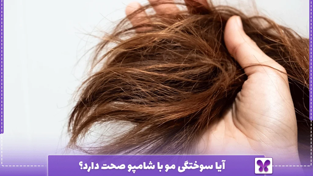 آیا سوختگی مو با شامپو صحت دارد؟