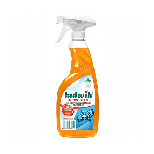 Ludwik Exotic Fruits Active Foam 600Ml فوم پاک كننده چربی سطوح با رايحه EXOTIC FRUITS لودويک 600 ميل - Image 1