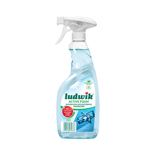 Ludwik Fresh Active Foam 600Ml فوم پاک كننده چربی سطوح با رايحه FRESH لودويک 600 ميل - Image 1